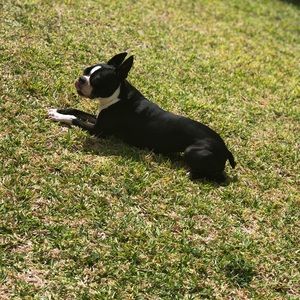 Meet your Posher, Gladys